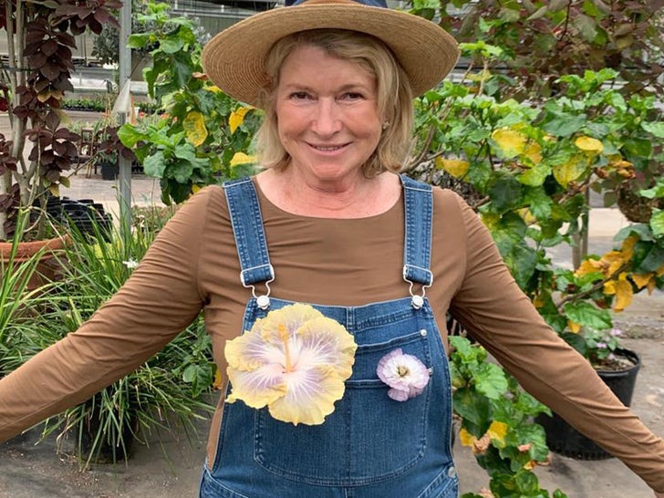 Martha Stewart ao longo dos anos