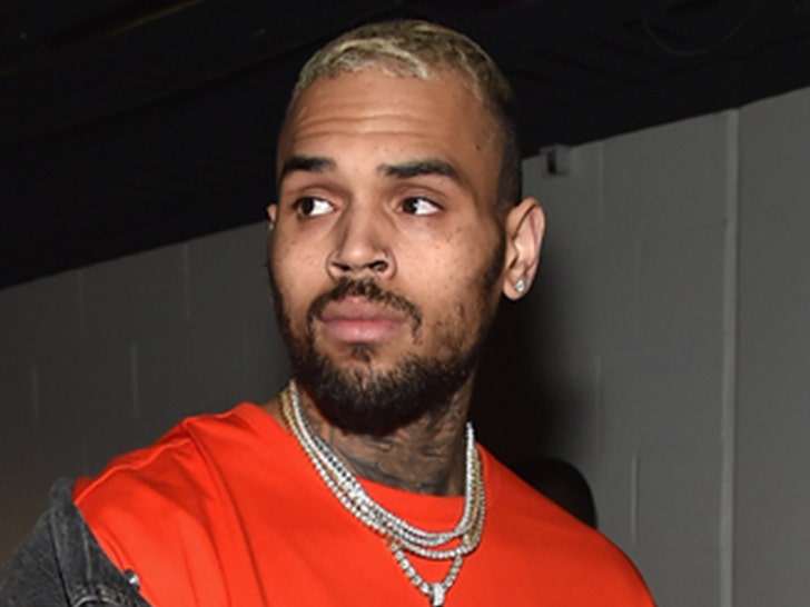 Chris Brown Says His Fan Photo Shoots Are Repairing Artist And Fan Relations.jpg