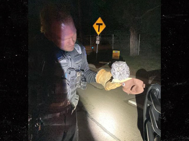 e53f078452d94384af317906a04239a0_md Man Busted for DUI After Allegedly Buying Owl Illegally at Gas Station