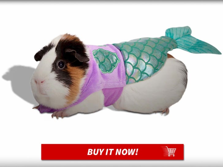 Mermaid-Costume-for-Small-Animals-MAIN