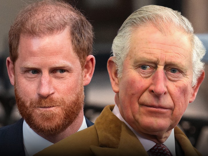 prince harry king charles iii main getty