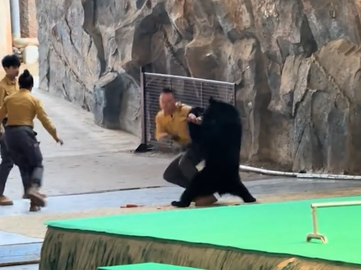 120825 bear attack sub1.jpg