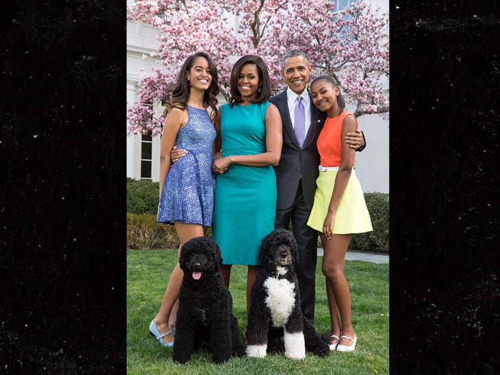 Obama Family with Sunny and Bo.