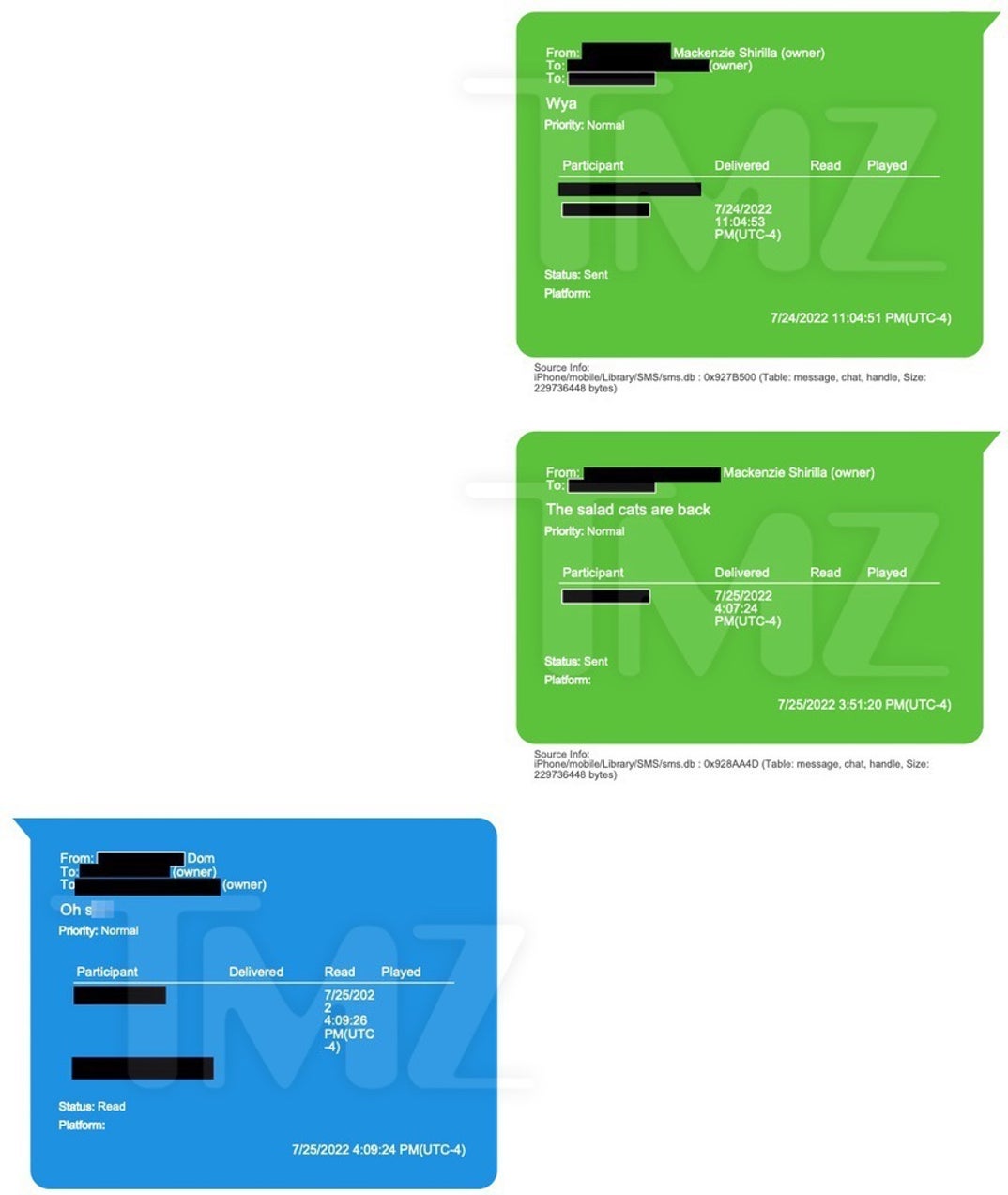 Mackeznie Shirilla Last Texts With Dominic Russo 10