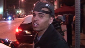 Chris Brown -- Sued Over Alleged Homophobic Beatdown