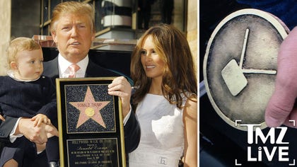 donald trump tmz live site