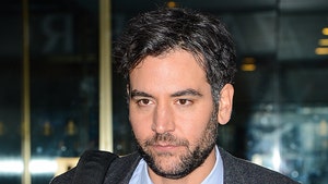'How I Met Your Mother' Star Josh Radnor Ordered to Stop Harassing Neighbors
