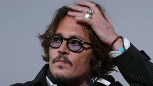 Johnny Depp's Hollywood Hills Home Hit by Alleged Burglar