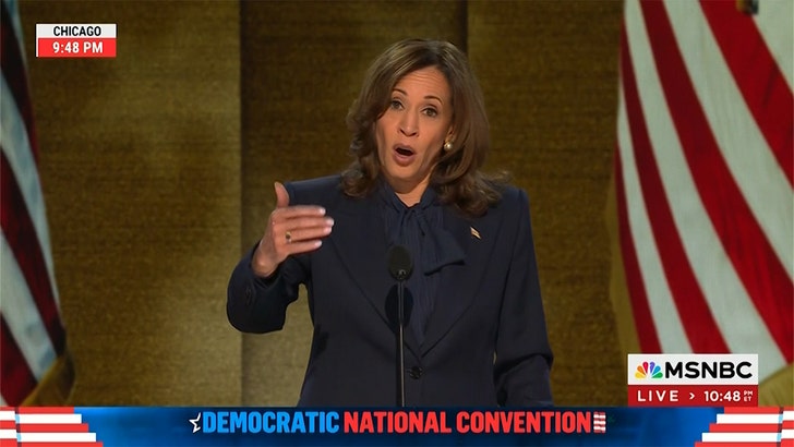 Kamala Harris Rips Donald Trump at DNC