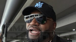 David Ortiz