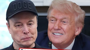 elon musk and trump getty 1