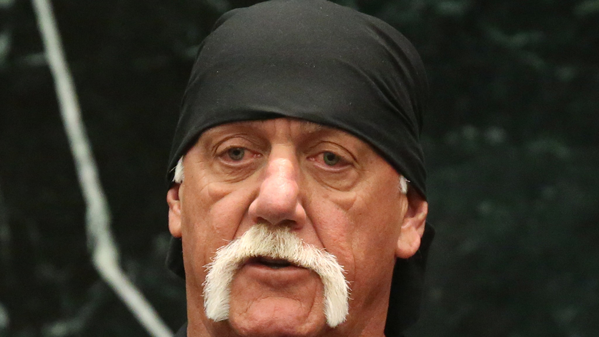 Hulk Hogan Leaves Nearly  Million in Assets, Grants Brooke Her Wish