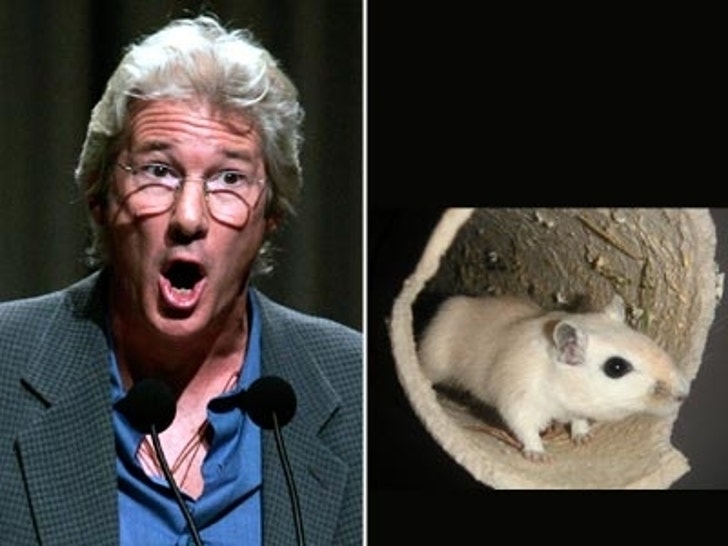 Richard gere and gerbil