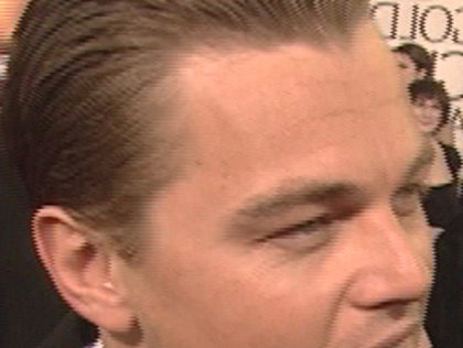 Leonardo DiCaprio