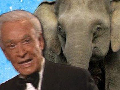 0314_bob_elephant