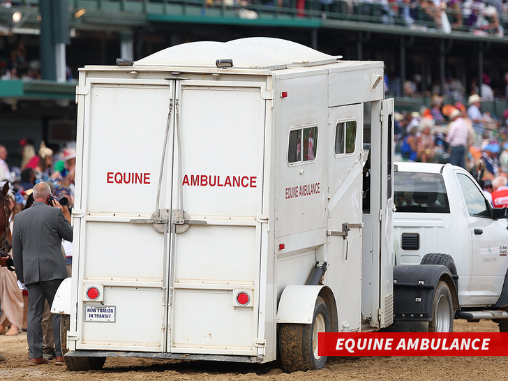 equine ambulance