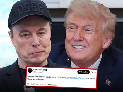 elon musk and trump getty 1