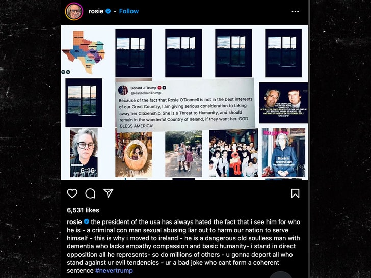 rosie odonell donald trump instagram sub