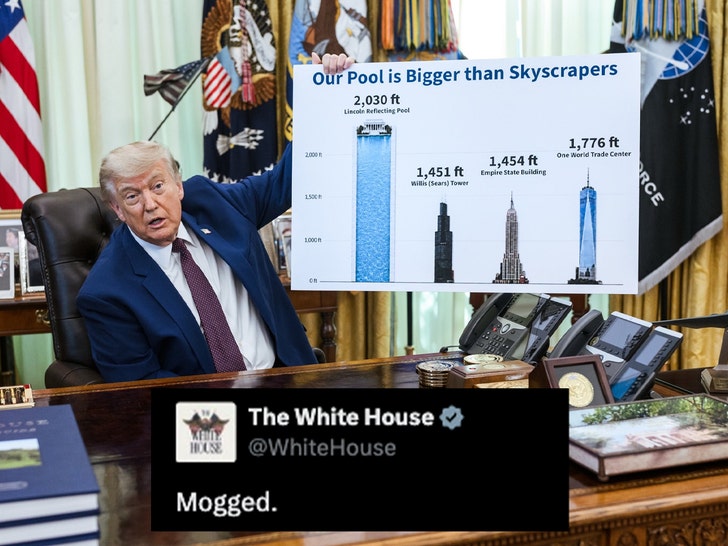 trump posts size of pool