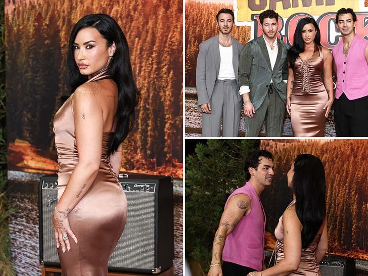 'Camp Rock 3' Red Carpet -- The Jonas Brothers, Demi Lovato, More