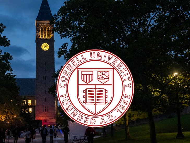 cornell u getty