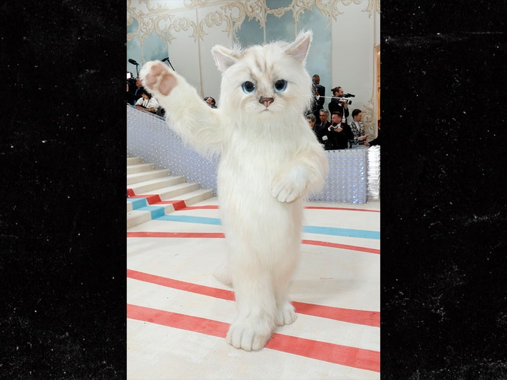 Met Gala 2023: Jared Leto Dresses as Karl Lagerfeld's Cat