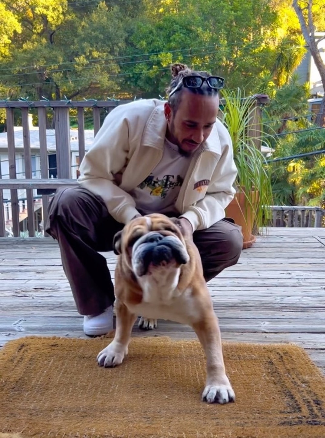 Lewis Hamilton And His Dog Roscoe 0