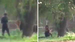 Man Jumps in Lion Enclosure, Stares it Down and Somehow Survives