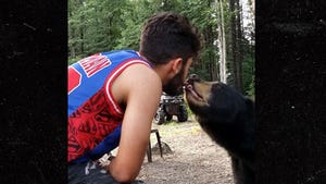 Man Feeds Bear Cookies Out of His Own Mouth