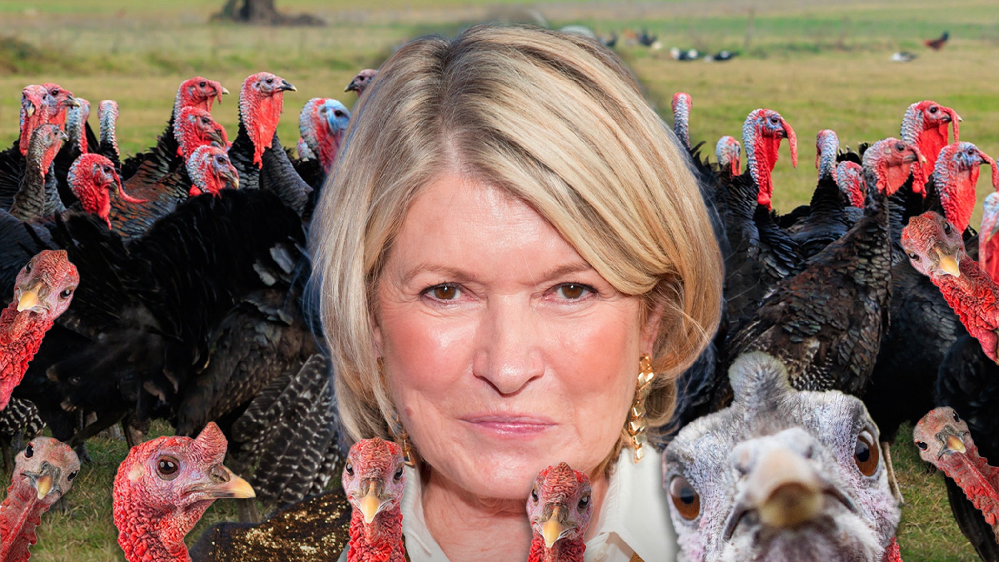 Martha Stewart Pardons Her Homegrown Turkeys Ahead of Thanksgiving