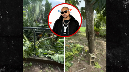 103025 sean paul ka2l.jpg