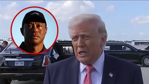 donald-trump-on-tiger-primary-03-27-2026