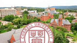 cornell university