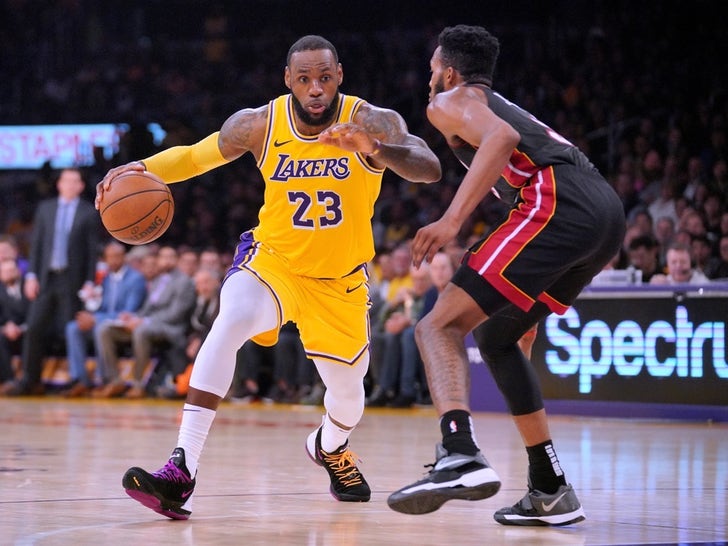 LeBron James on the Lakers