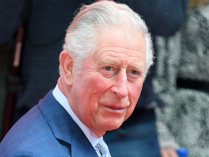 0325 prince charles getty