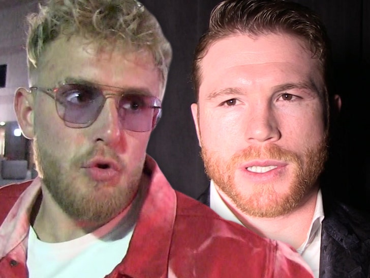 jake paul and Canelo Alvarez