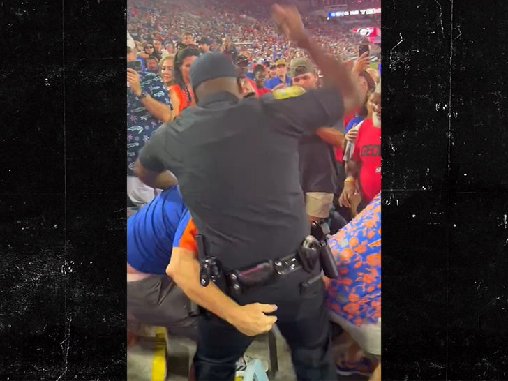 Police Beat the Crap out of Fans on Video at College Football Game