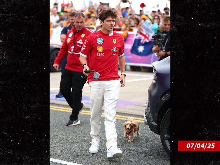 charles leclerc dog sub getty swipe