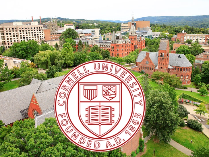 cornell university