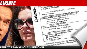 Arnold's Divorce Response -- Conflict Over Support