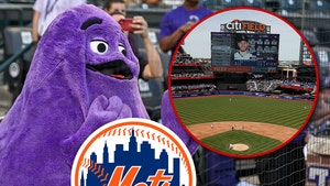 grimace mcdonalds mascot mets citi field getty 1