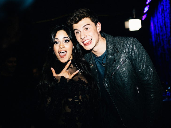 Shawn Mendes And Camila Cabello Together