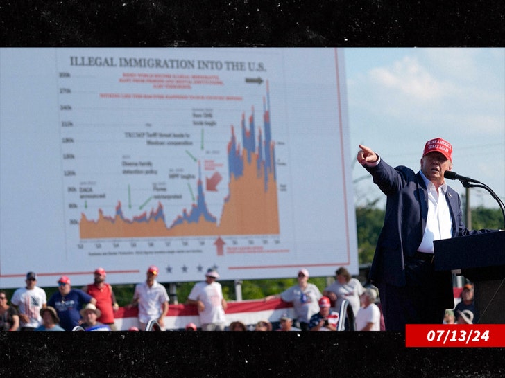 donald trump immigration chart