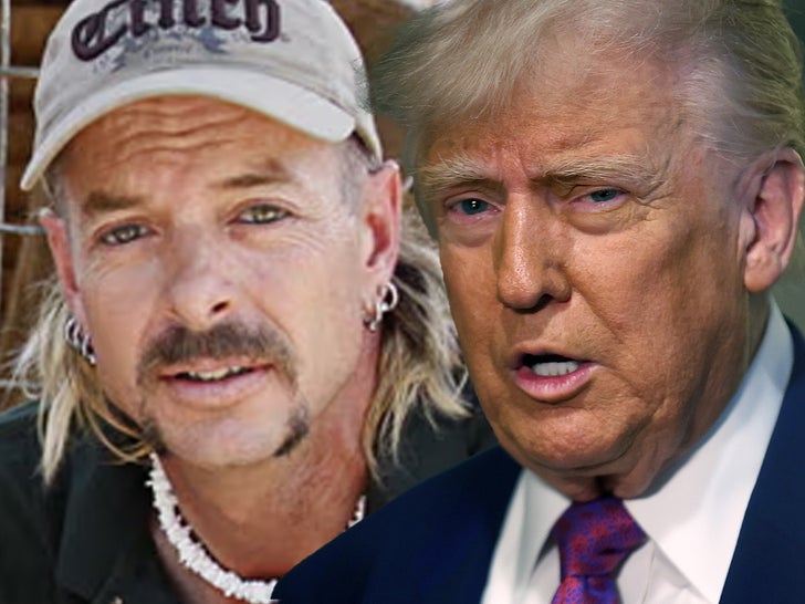 joe exotic donald trump getty comp