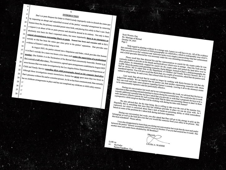 O ex-marido de Sia pede a custódia exclusiva da criança – Desempenho de Sia