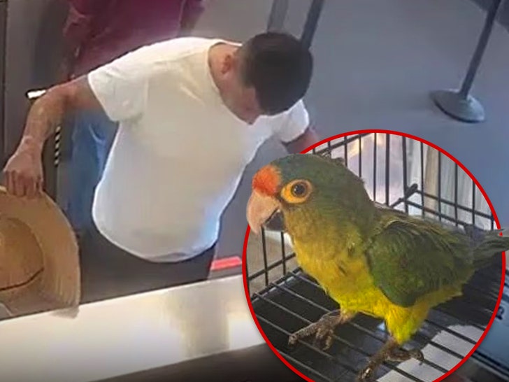 man smuggles parakeets main U.S. Attorney's Office, Southern District of California