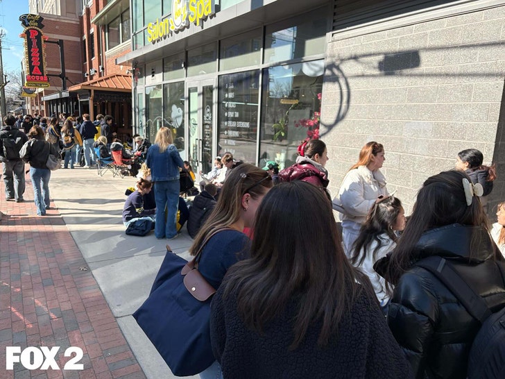 michigan-fans-fox-2-2