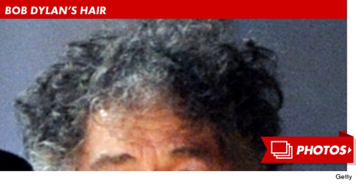 Bob Dylan's Hair