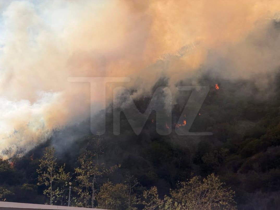 Large Brush Fire Near Getty Center 8