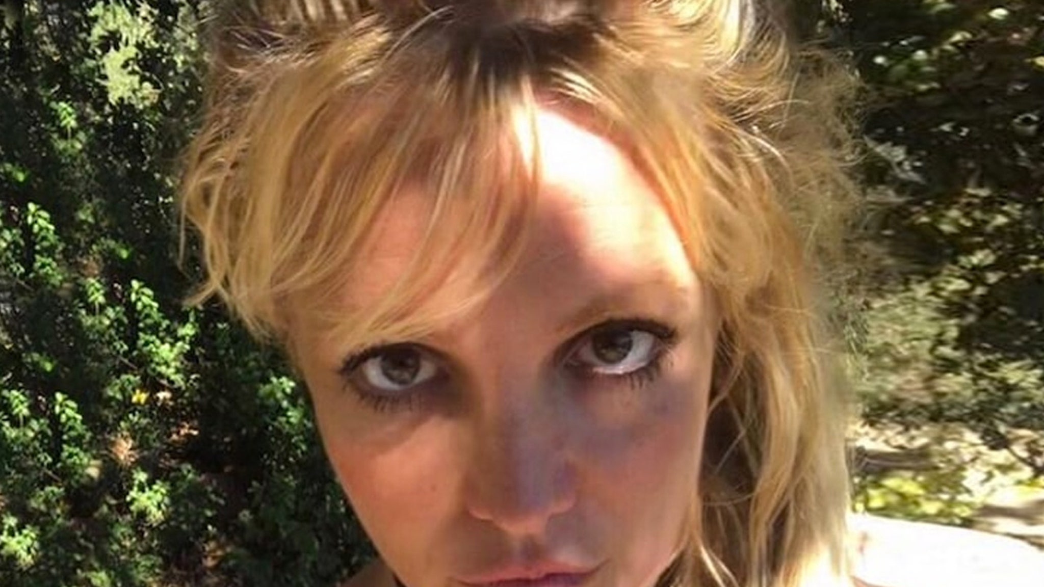 Britney Spears' Dogs Taken Away, She Blames Jamie